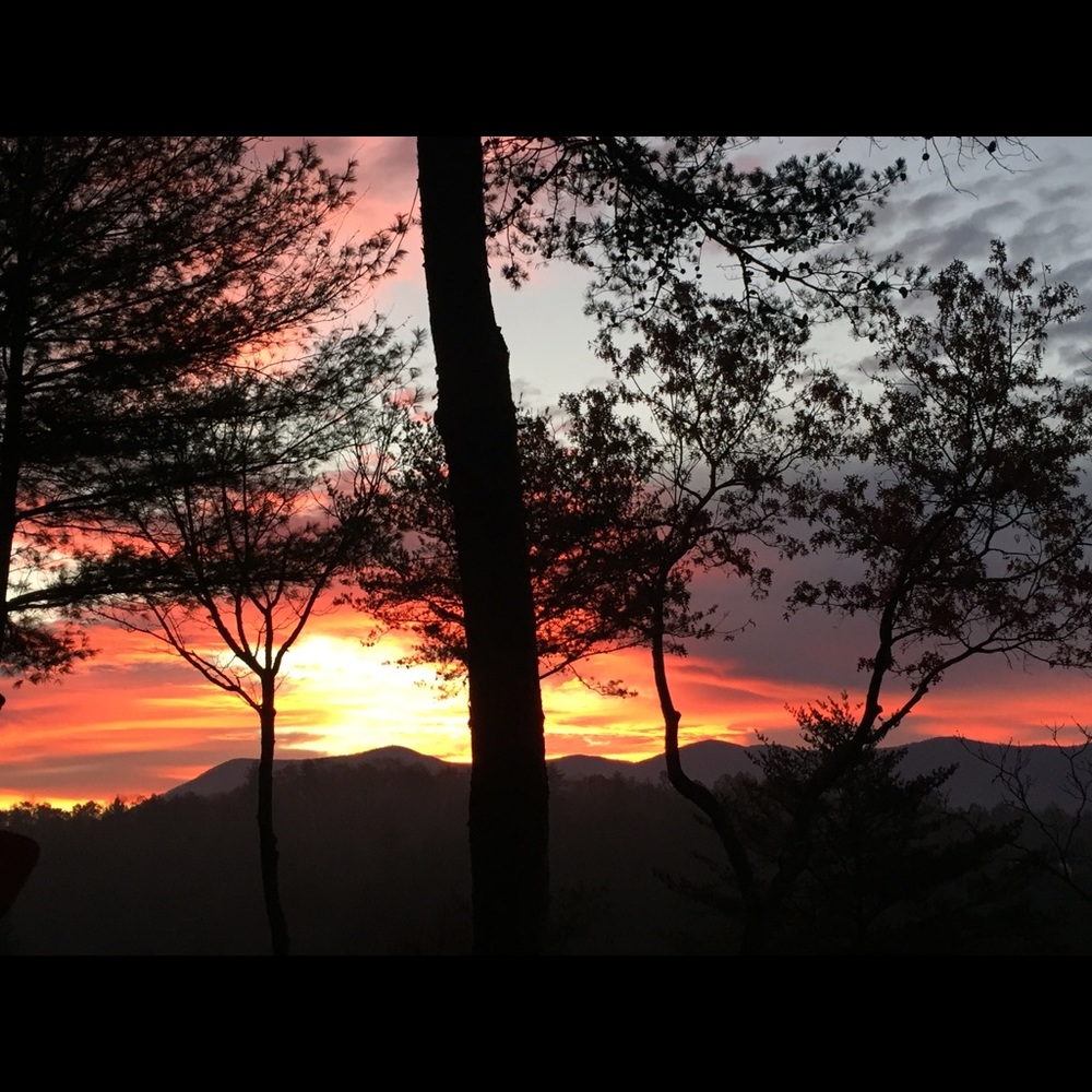 Meet your Posher, Toni